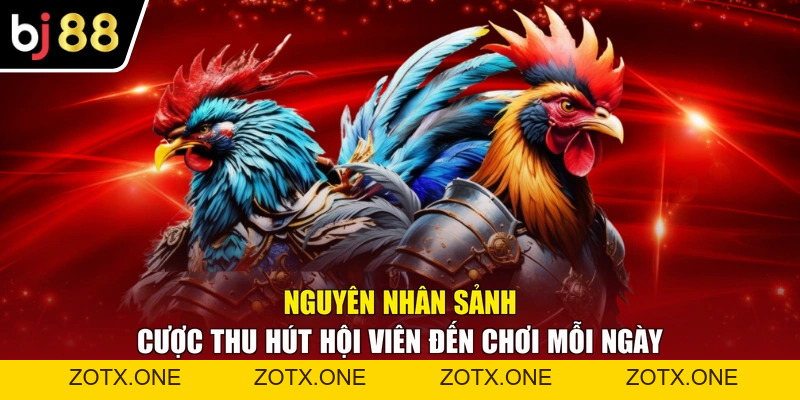 Đá Gà BJ88 - Tận Hưởng 99+ Trận Đấu Kịch Tính Mỗi Ngày